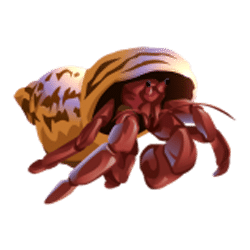 Icon 11 Dolphin Quest