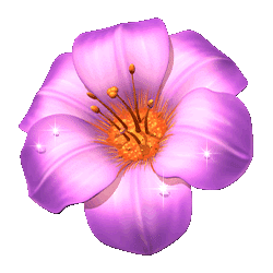 Icon 3 Butterfly Staxx 2