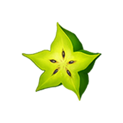 Icon 6 Ignite The Night