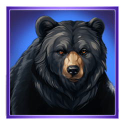 Icon 2 Buffalo’s Sun