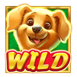 Wild Symbol of Cachorro Sortudo Slot