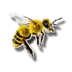 Icon 5 3 Butterflies