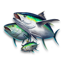 Icon 5 6 Wild Sharks