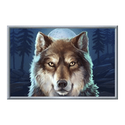 Icon 3 Buffalo Rising