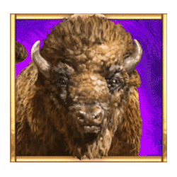 Icon 1 Big Bad Bison Megaways