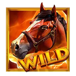 Icon 9 Amazons Riches