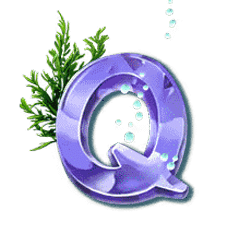 Icon 8 Turtle Paradise