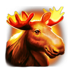 Icon 3 Black Wolf Hold and Win