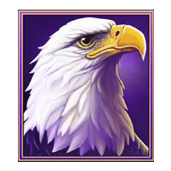 Icon 4 Winter Thunder