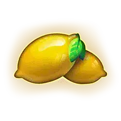 Icon 9 Miami Bonus Wheel