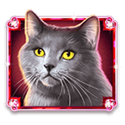 Icon 4 Kitty Glitter Grand