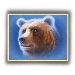 Icon 4 Buffalo Blitz