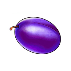 Icon 6 Brilliant Wilds