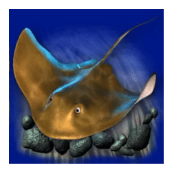 Icon 4 Dolphin’s Pearl Deluxe