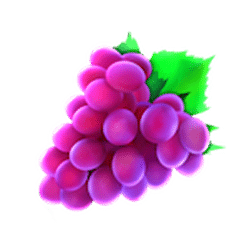 Icon 4 Mega Lucky 81x