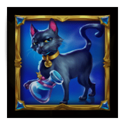 Icon 4 Book of Wisdom