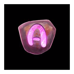 Icon 6 Pink Elephants