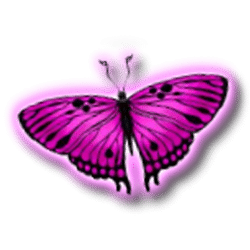 Icon 3 3 Butterflies