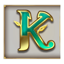 Icon 6 Oasis of Dead