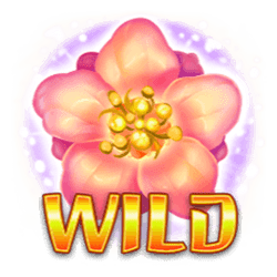 Wild Symbol of Hazakura Ways Slot