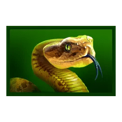 Icon 6 Immortal Ways Buffalo