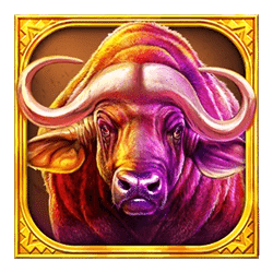 Icon 2 Buffalo Hold and Win