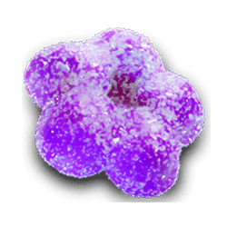 Icon 4 Candy Combo – Power Combo