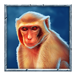 Icon 6 Red Hot Volcano