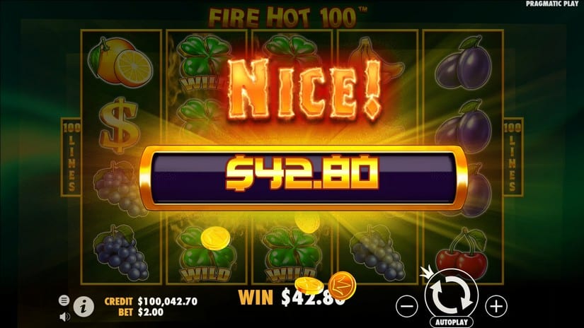Fire Hot 100 slot screen 5
