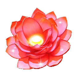 Icon 2 Butterfly Staxx 2