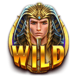 Wild Symbol of Might of Ra Slot