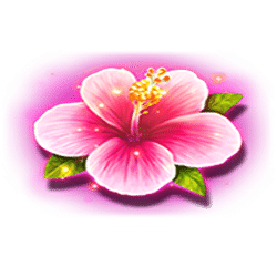 Icon 8 Tiki Madness 100