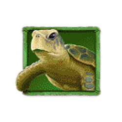 Icon 3 Lady Lava Mini-Max