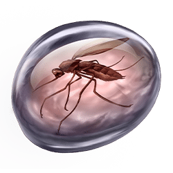 Icon 10 Raging Rex 2