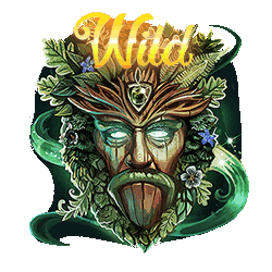 Wild Symbol of Faerie Spells Slot