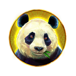 Icon 8 Eastern Goddesses