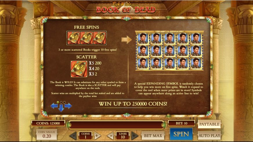 Rich Wilde and the Book of Dead slot screen 1