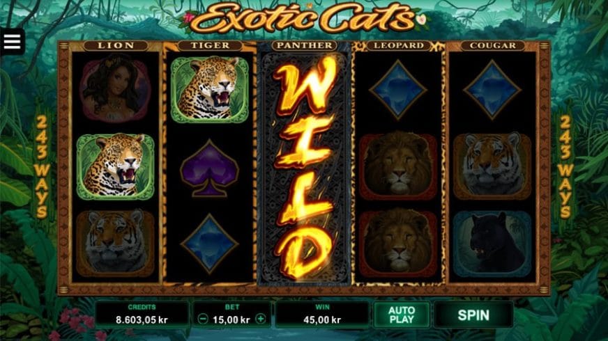 Exotic Cats slot screen 2