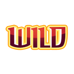 Wild Symbol of Lights Slot