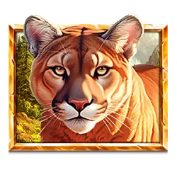 Icon 3 5 Wild Wolves