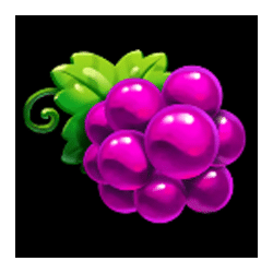 Icon 5 Juicy Fruits Sunshine Rich