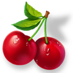 Icon 8 Arctic Fruits