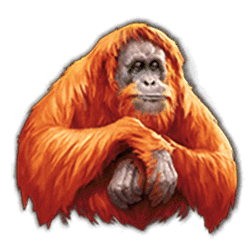 Icon 3 Legacy of the Tiger Mega Fire Blaze Jackpots