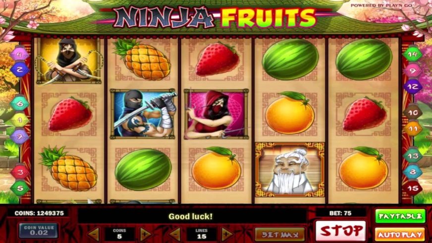 Ninja Fruits slot screen 3