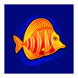 Icon 5 Mermaid’s Gold