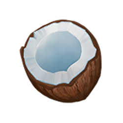 Icon 9 Ignite The Night