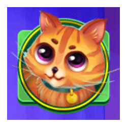 Icon 1 Here Kitty Kitty