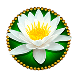 Icon 5 Elephant Splash