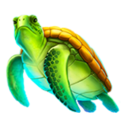 Icon 2 Dolphin’s Wealth Fortune