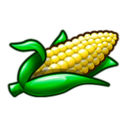 Icon 8 Chilli Willie